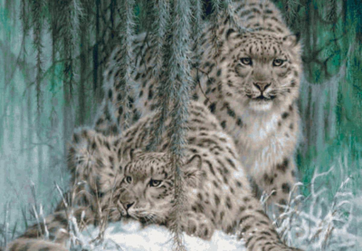 дикие - предпросмотр