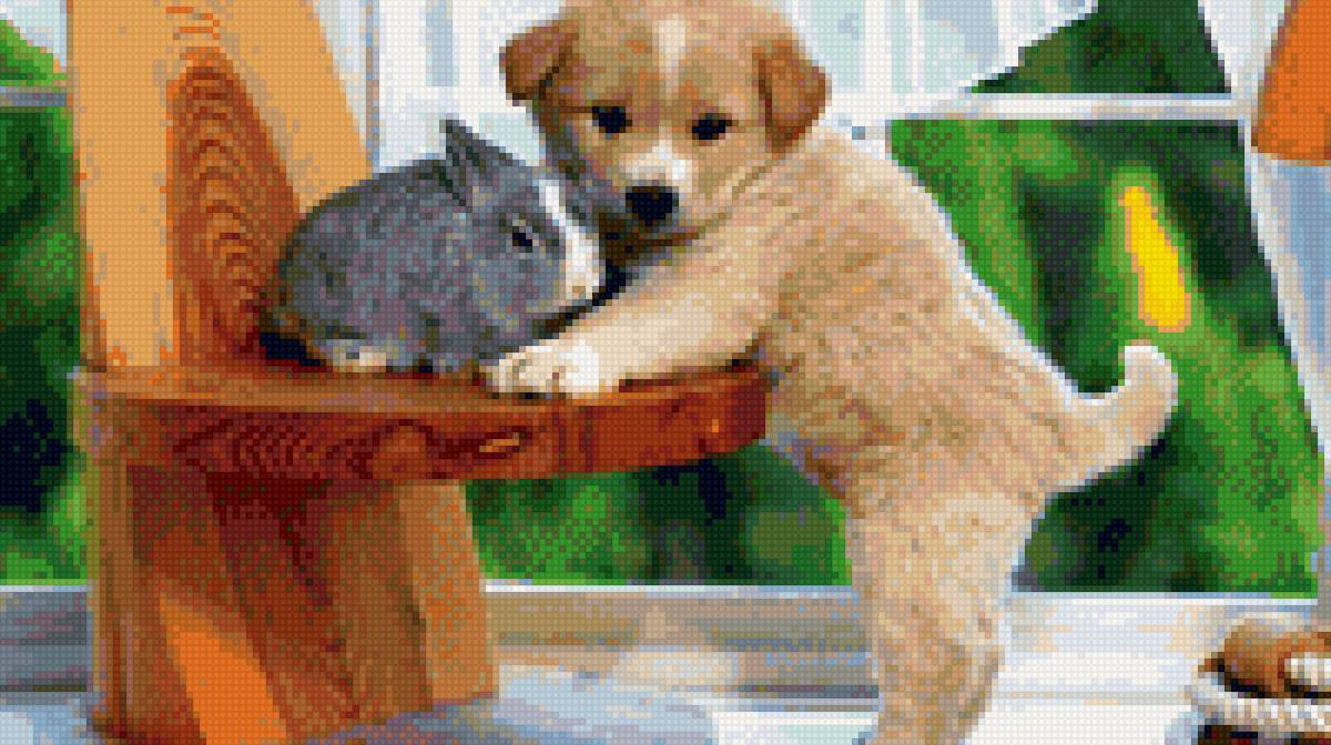 непара - щенок, котенок - предпросмотр