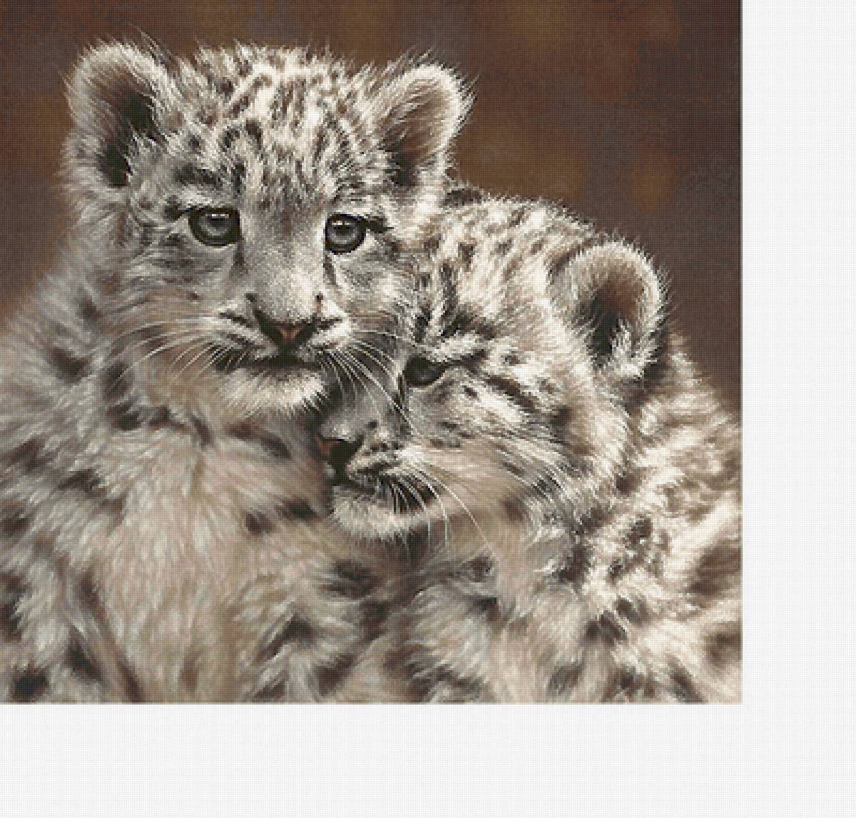 №2129903 - предпросмотр