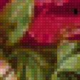 Предпросмотр схемы вышивки «Букет роз Fasani» (№2129951)