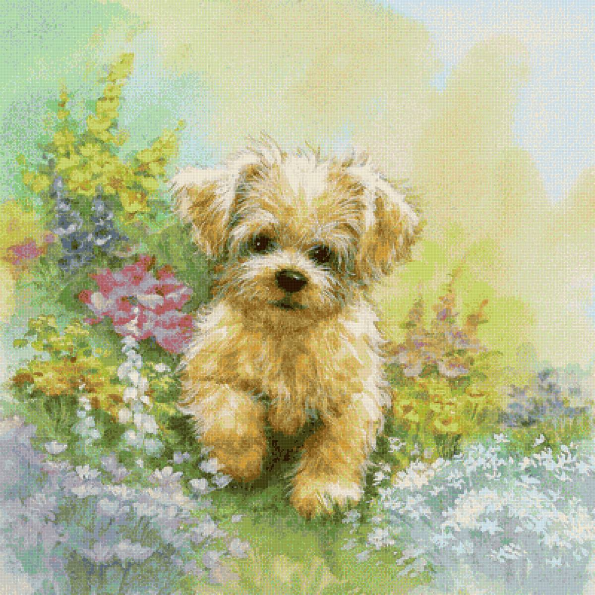 Щенок - животные, щенок - предпросмотр