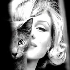 Схема вышивки «монро и кошка»