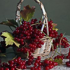 Схема вышивки «Калина»