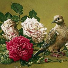 Схема вышивки «птицы»