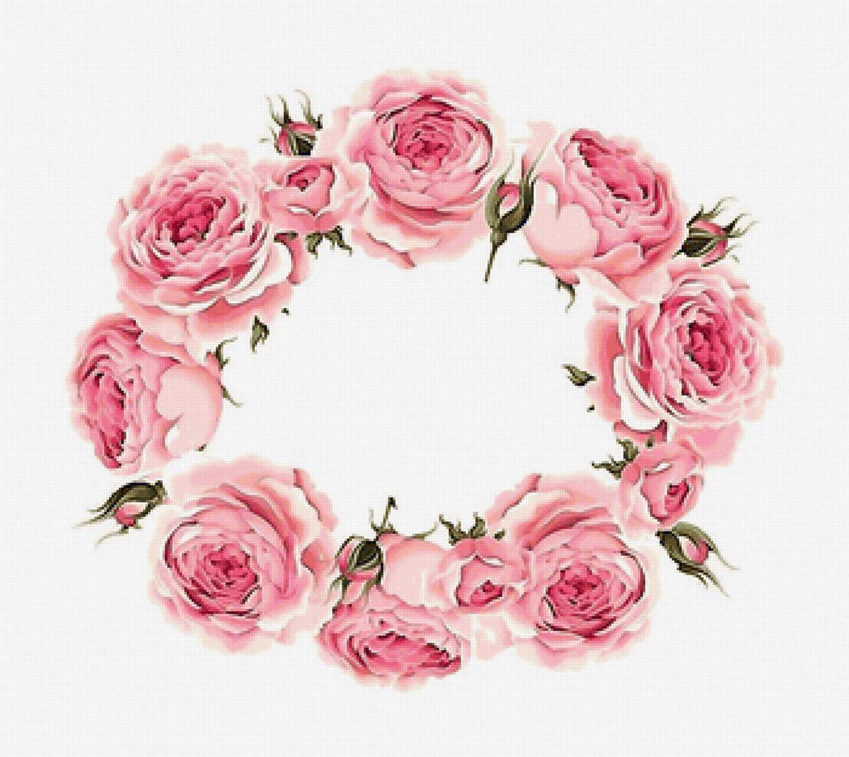 розы - предпросмотр