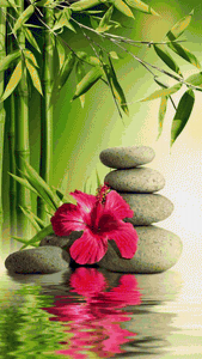 Восточные мотивы - камни, бамбук, восток, гибискус - предпросмотр