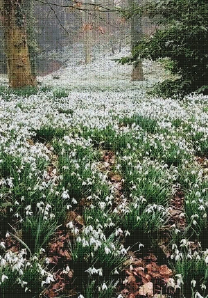 Весна - весна, подснежники - оригинал