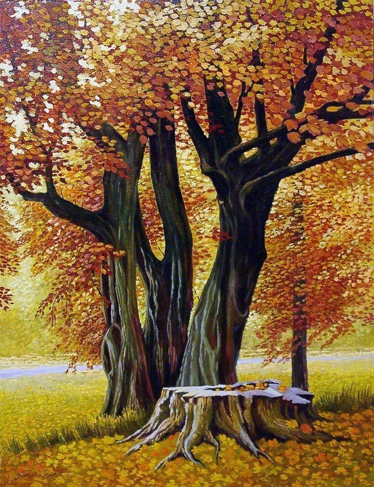 Осенние деревья - деревья, природа, осень - оригинал