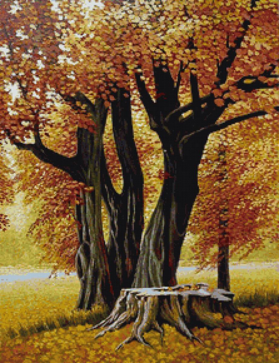 Осенние деревья - природа, осень, деревья - предпросмотр