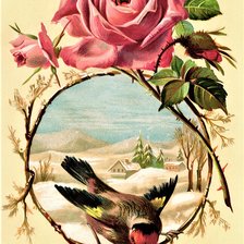 Схема вышивки «№2131436»