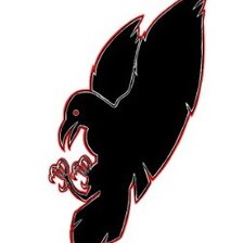 Схема вышивки «The Raven King»