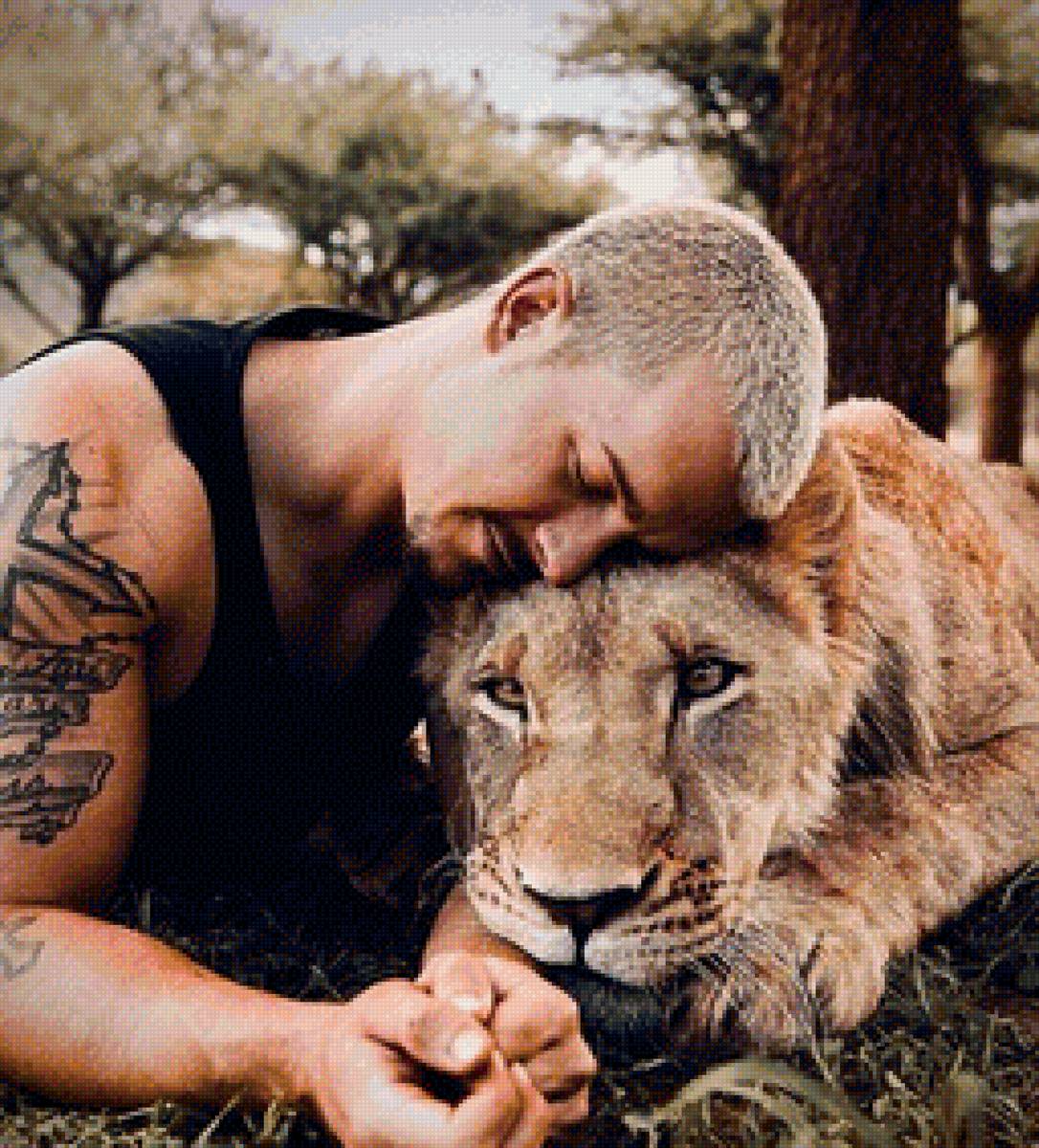 Дружба - дружба, животные, dean schneider, лев, человек - предпросмотр
