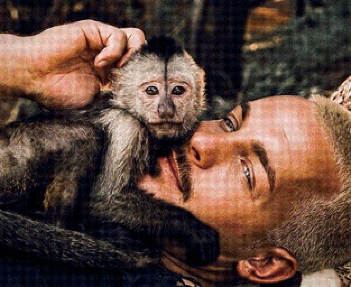 Дружба 2 - дружба, животные, человек, обезьяна, dean schneider - предпросмотр