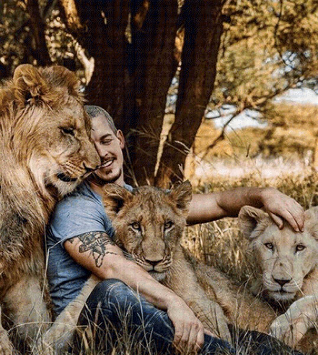 Дружба 7 - животные, лев, dean schneider, львы, дружба, человек - предпросмотр