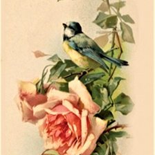 Схема вышивки «№2132625»