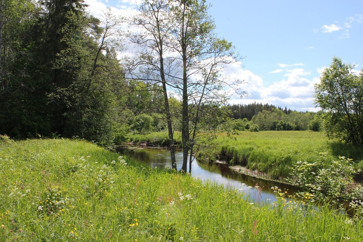 Реченька - природа, река, пейзаж - оригинал