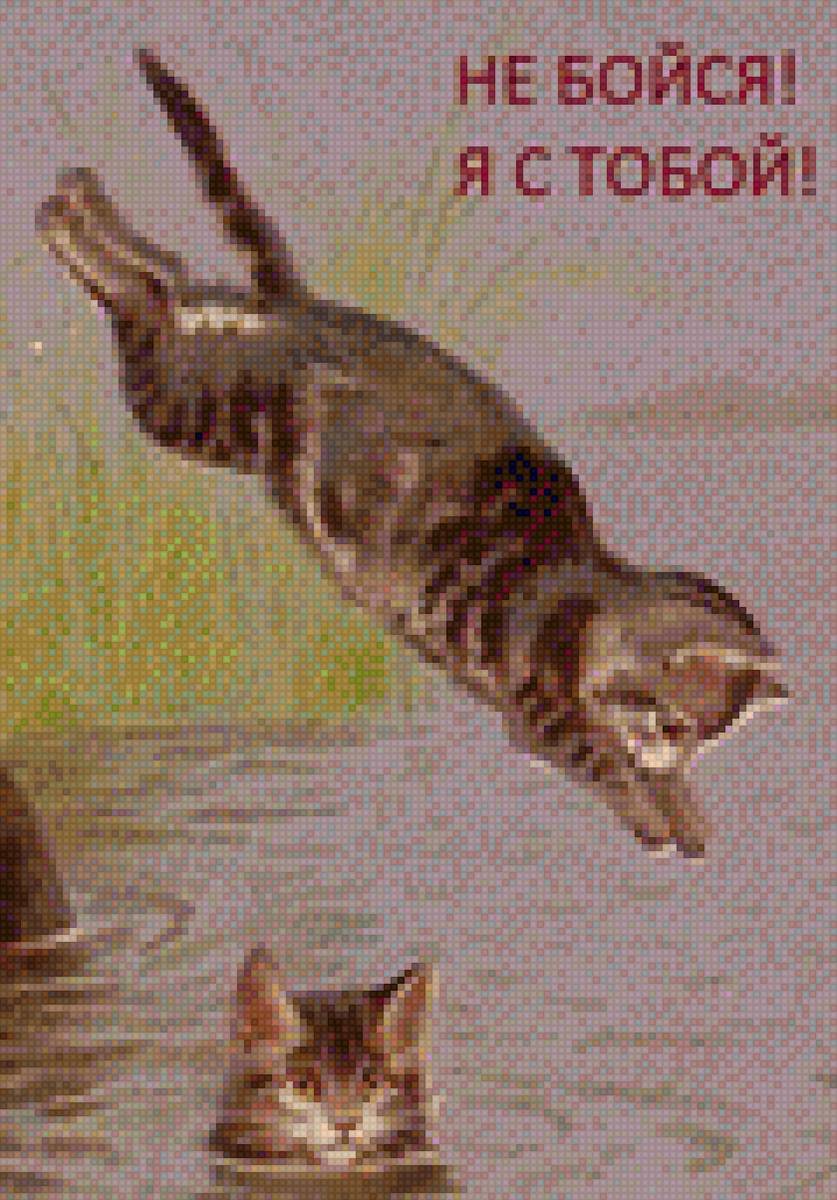 Не бойся! Я с тобой! - котята, верность, отвага - предпросмотр