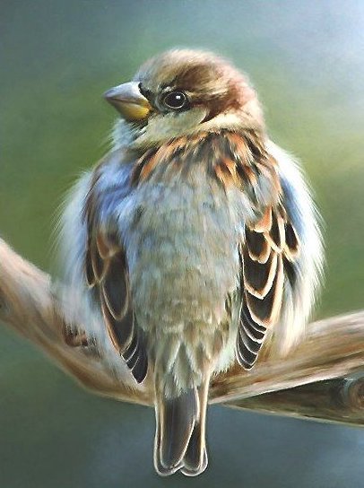 Воробей - оригинал