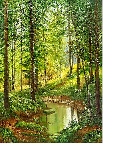 Лесной ручей - пейзаж, лес, лето, природа - оригинал