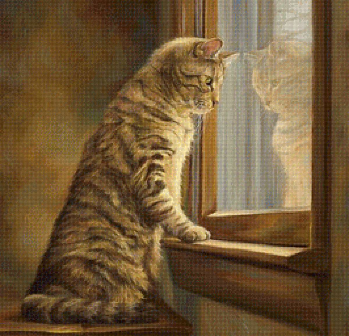 Наблюдатель - животные, кот - предпросмотр