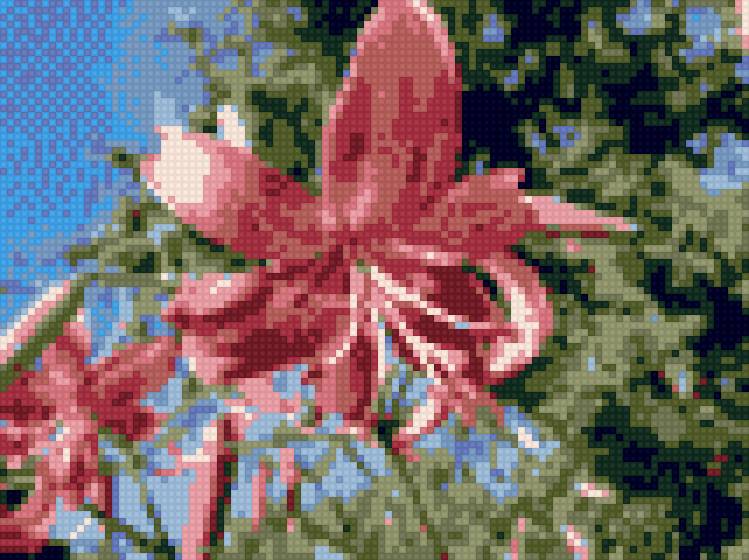 Лилии в нашем саду - лилии - предпросмотр