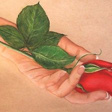 Схема вышивки «№2133674»