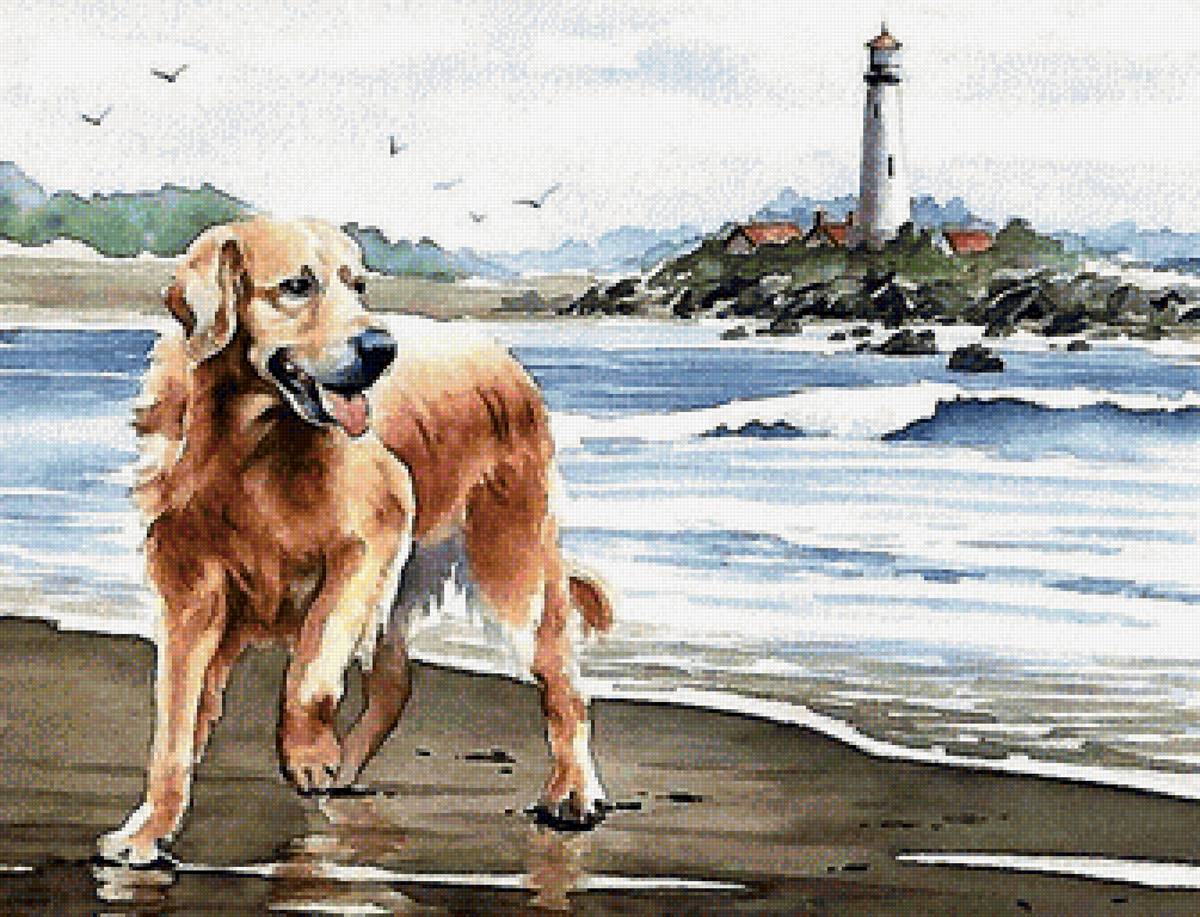 На берегу - маяк, море, собака, отдых - предпросмотр