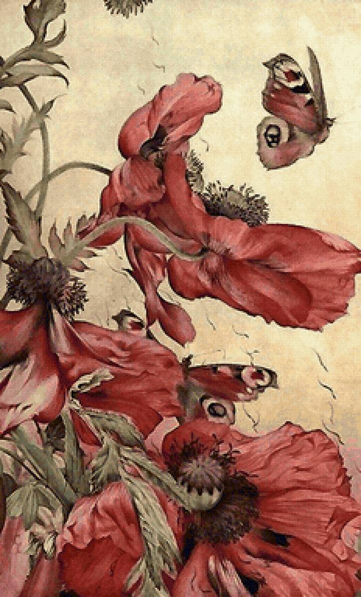 маки и бабочки - предпросмотр