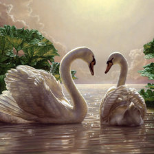 Схема вышивки «CISNES»