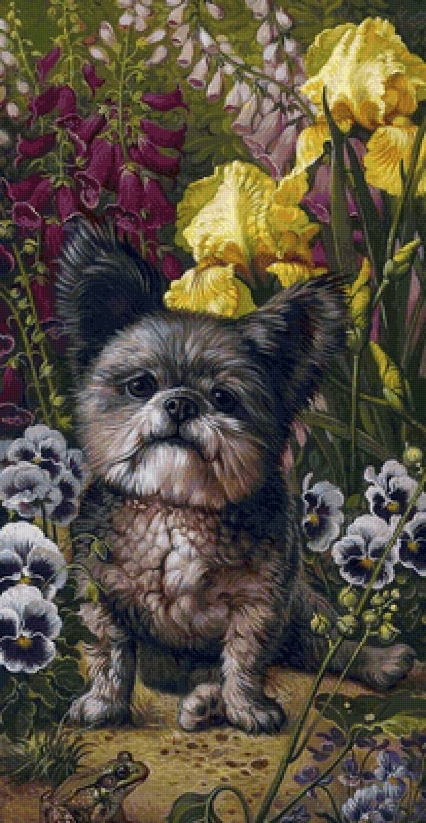 друзья - предпросмотр