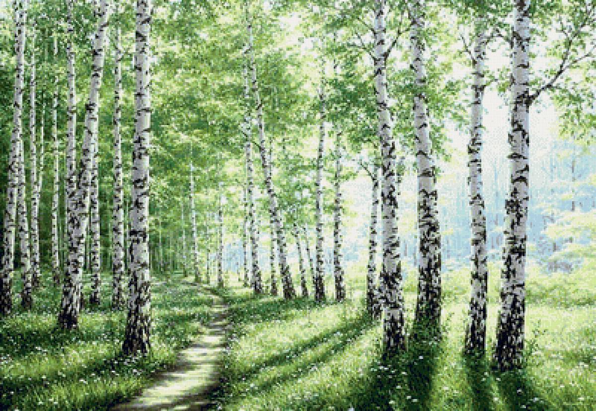 The grove of the dancing birches. Художник Абакумов Березовая роща. Деревенчук Березовая роща. Пейзажист Левитан Березовая роща.