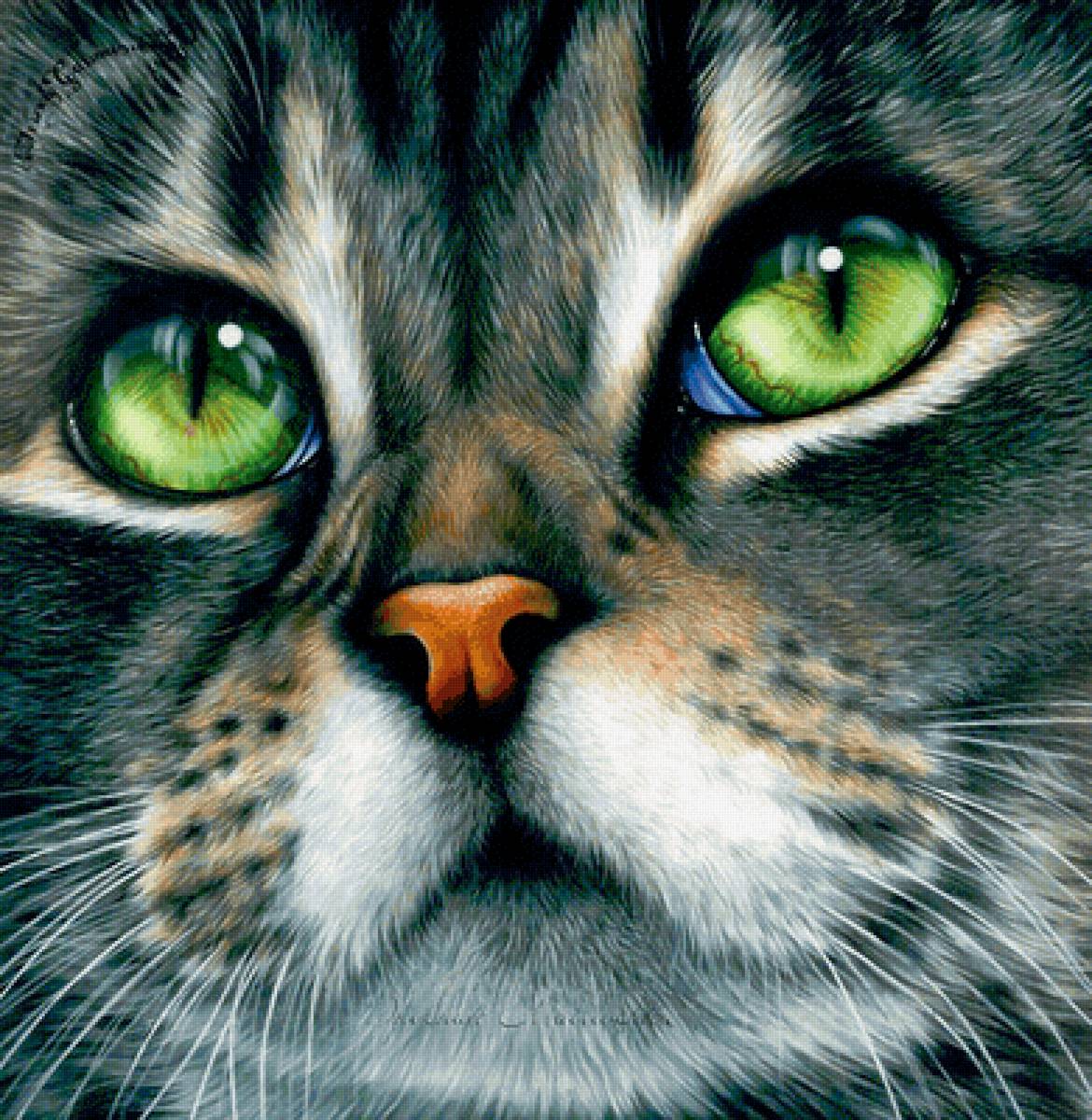 №2134871 - кот, глаза - предпросмотр