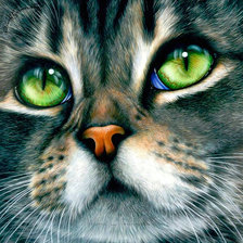 Схема вышивки «№2134871»