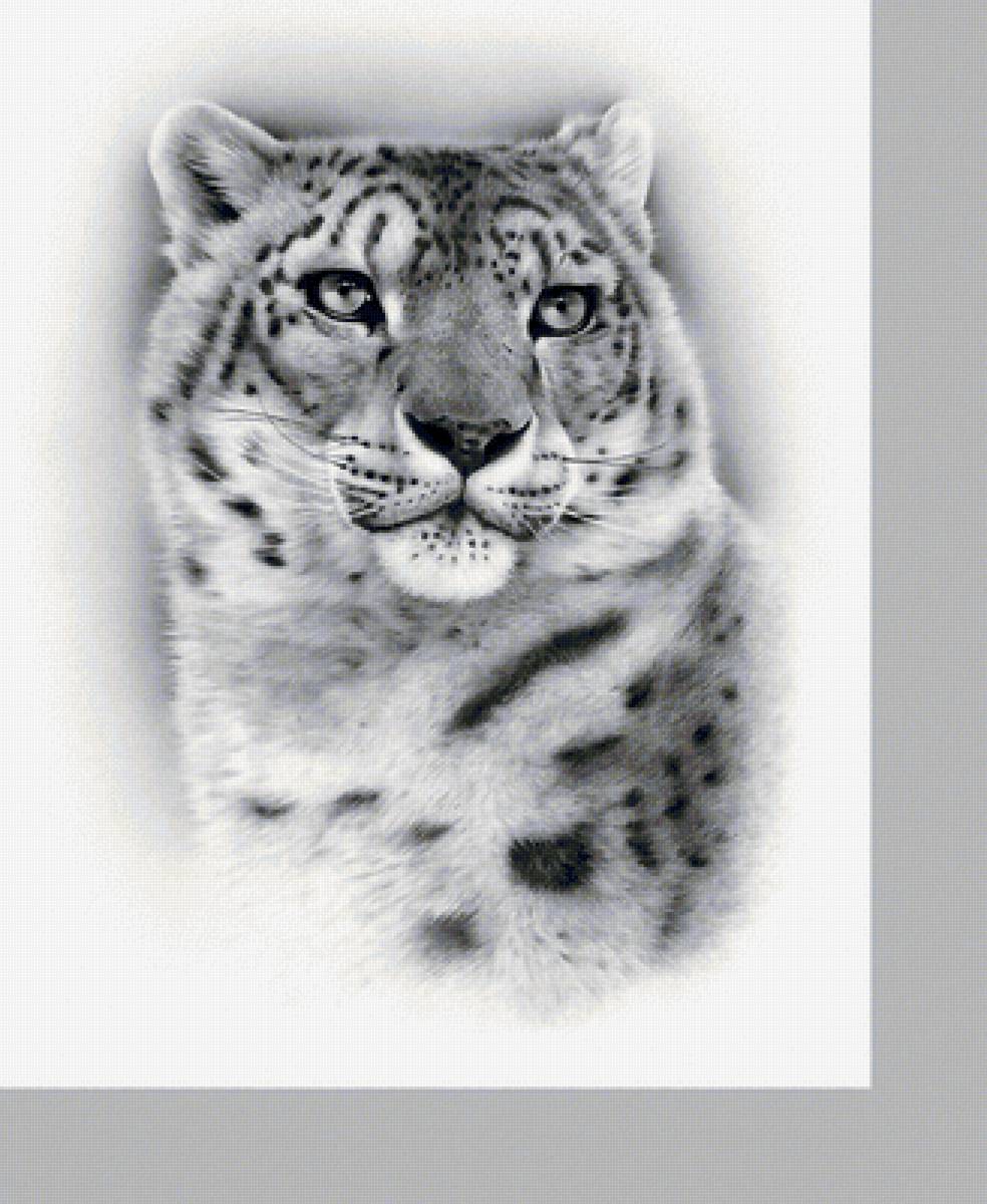 №2134995 - животные, хищники - предпросмотр