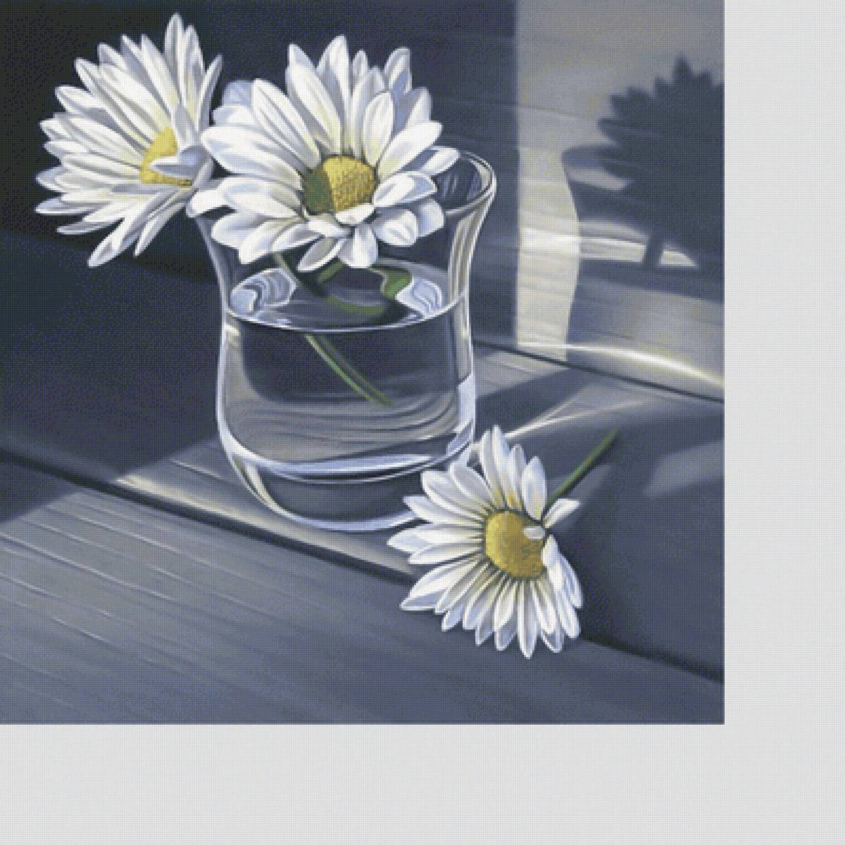 №2135027 - цветы, натюрморт, ромашки - предпросмотр