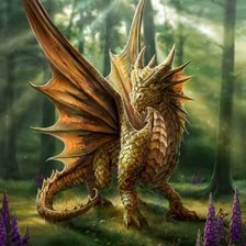 Схема вышивки «драконы-9»