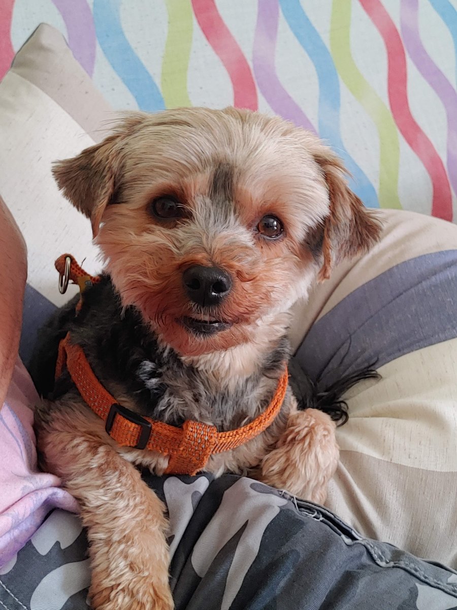 Erika - erika40 - оригинал