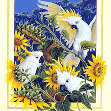 Схема вышивки «Желтохохлый какаду»