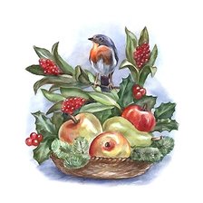 Схема вышивки «птица»