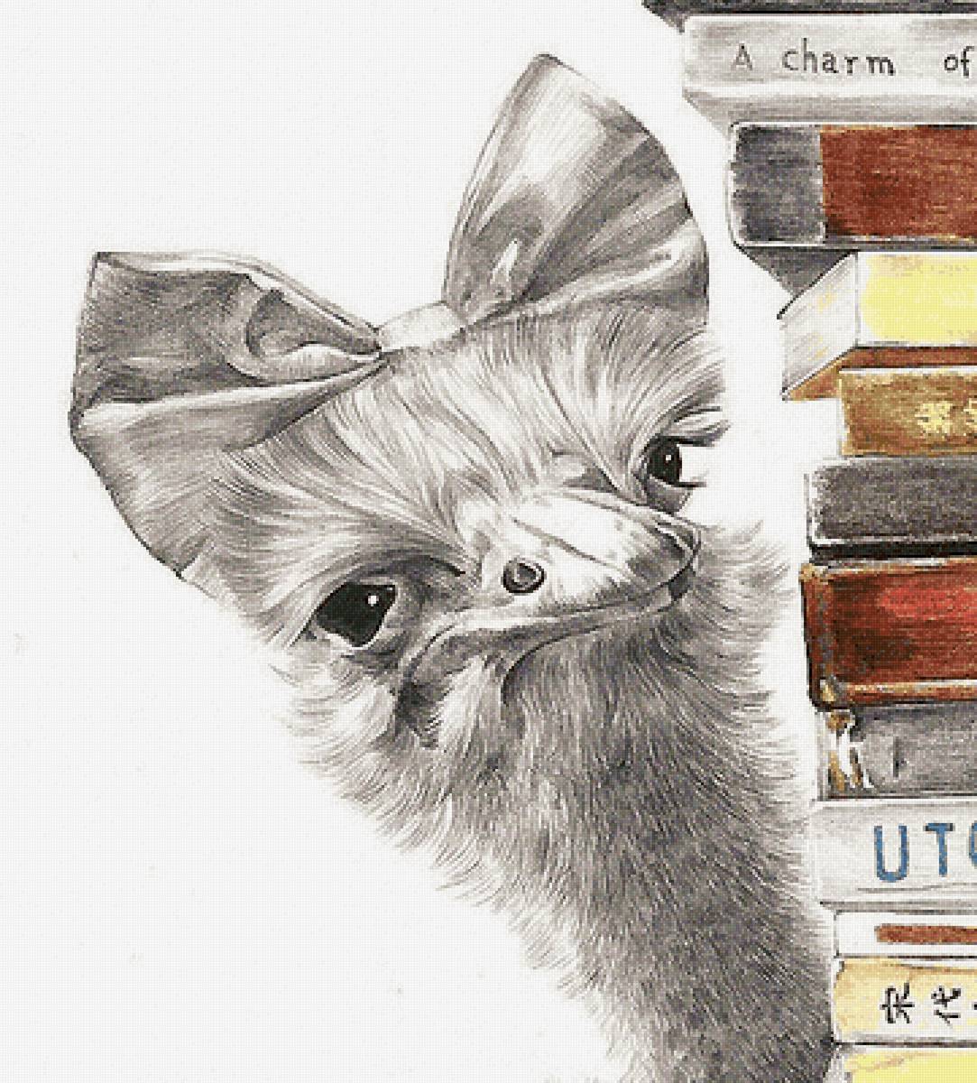 Любознательный страус - предпросмотр