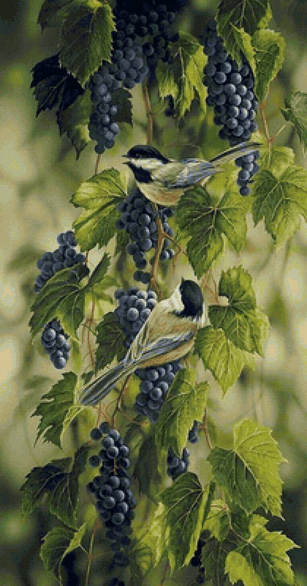 птицы - предпросмотр