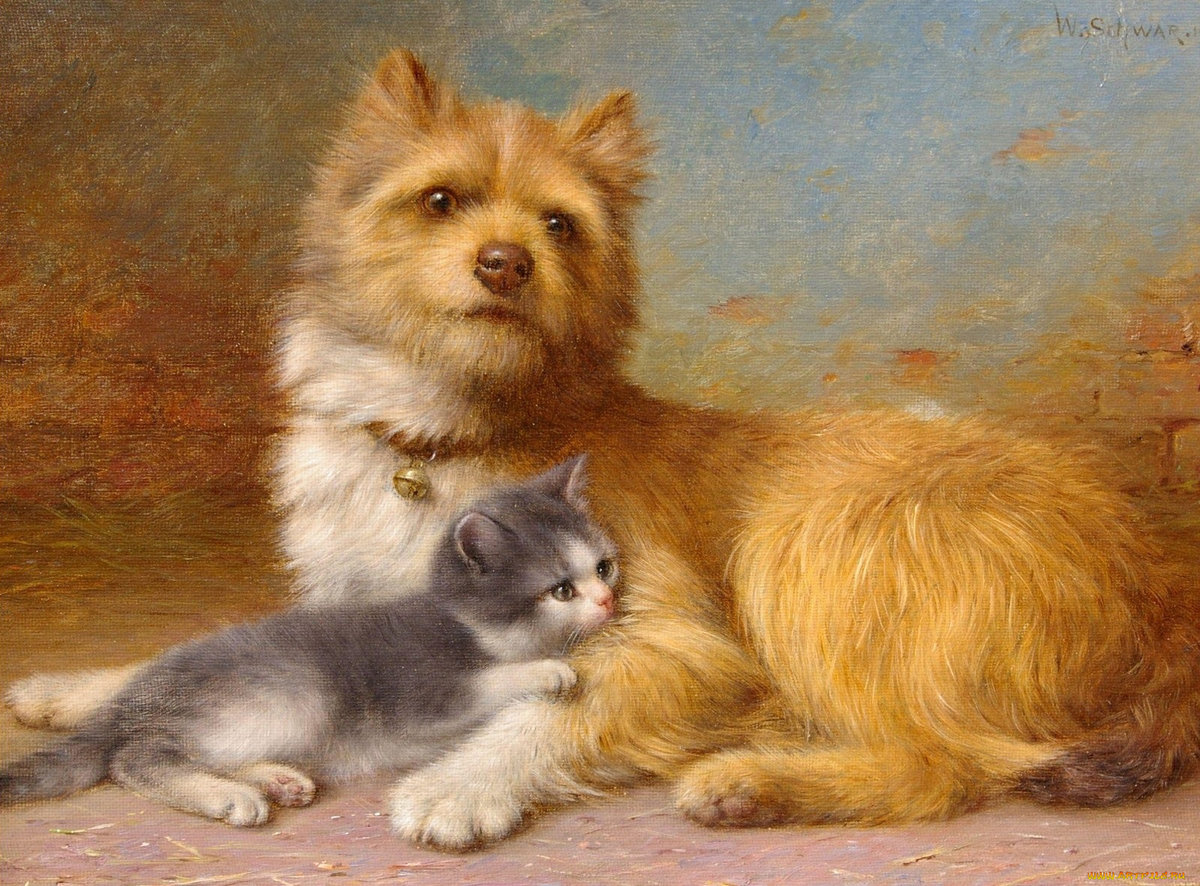 Willhelm Schwar. Материнский инстинкт - живопись, котенок, собака - оригинал