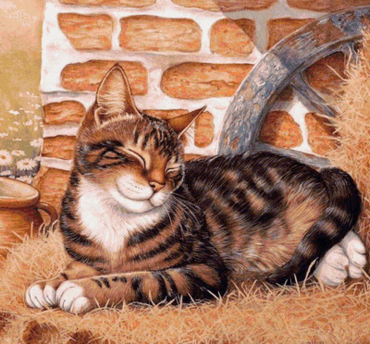 Милый котенок - котенок, отдых, сон, кот - предпросмотр