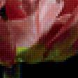 Предпросмотр схемы вышивки «tulipany» (№2136903)