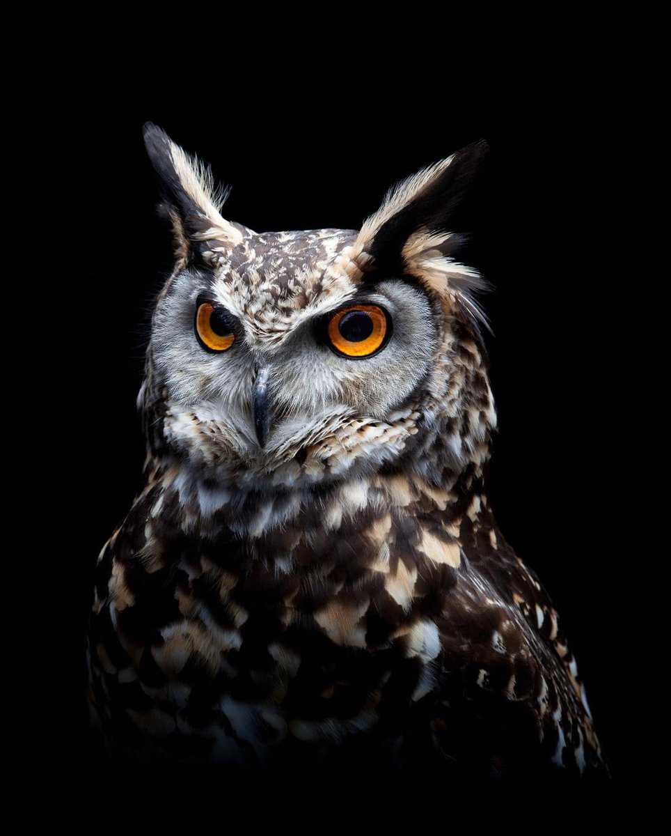 №2137064 - оригинал