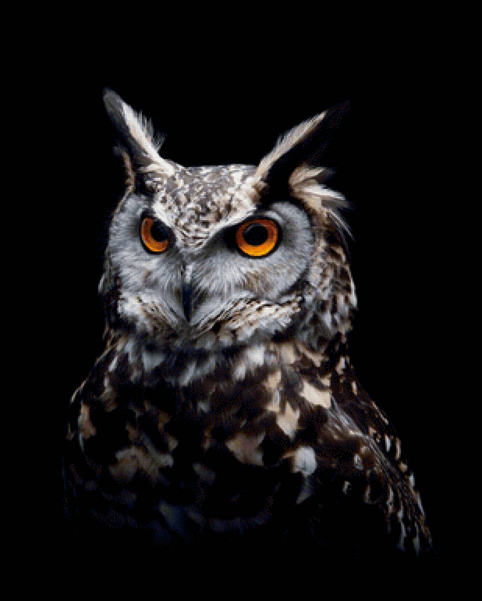 №2137064 - предпросмотр