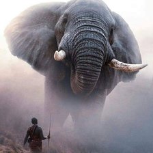 Схема вышивки «Слон в тумане»