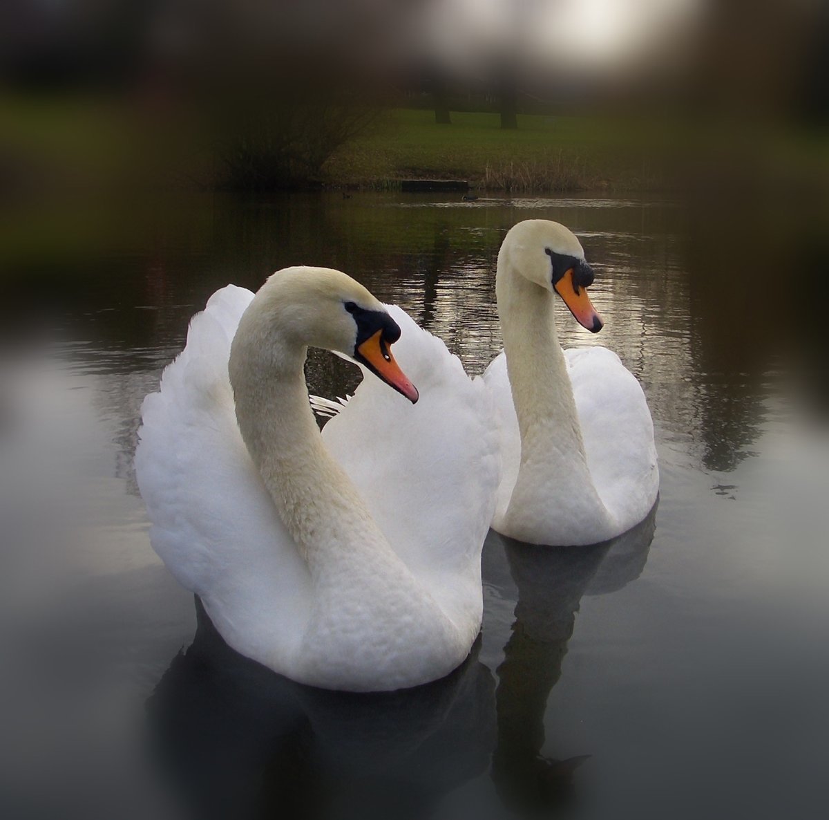 №2137177 - оригинал