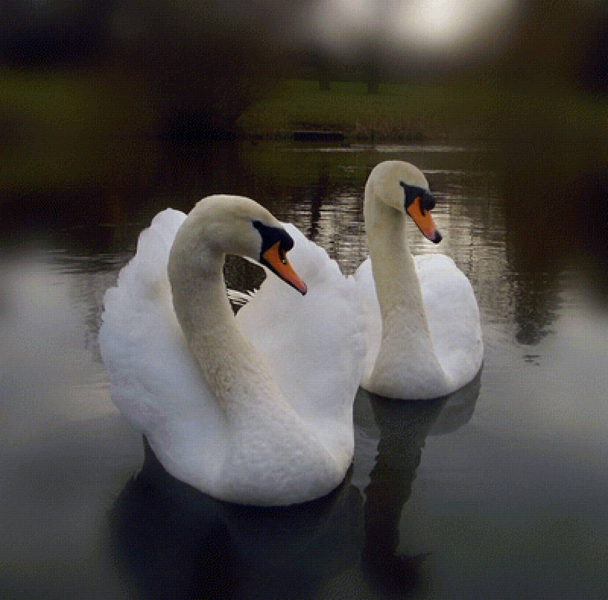 №2137177 - предпросмотр