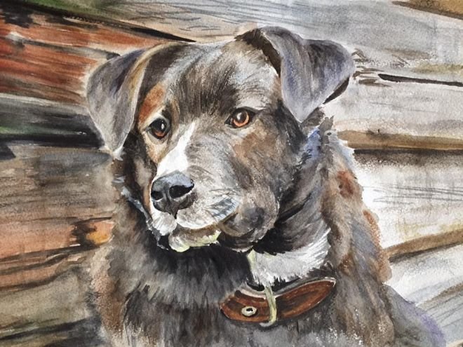 №2137321 - друг, собака - оригинал